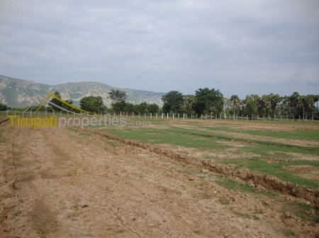 4) Layout Plots for Sale in Tirupati - Venkatagiri Road.JPG
